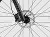 Bruni 29 8.0